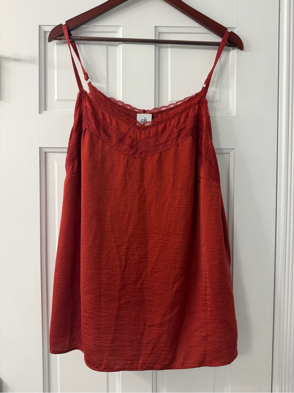 Slip Cami Tank Top in Brick Red